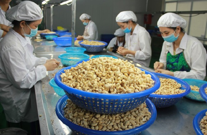 Le Vietnam, un marché très prometteur en Asie du Sud-Est pour les entreprises polonaises